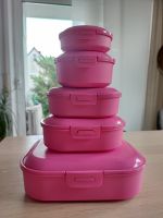 5 tlg. Vesperdosen Brotdosen pink Baden-Württemberg - Schlaitdorf Vorschau