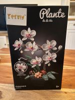 Orchidee Marke Yeshin wie Lego Rheinland-Pfalz - Pirmasens Vorschau