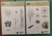 Stampin Up Stempelset Tauches of Texture Nordrhein-Westfalen - Porta Westfalica Vorschau