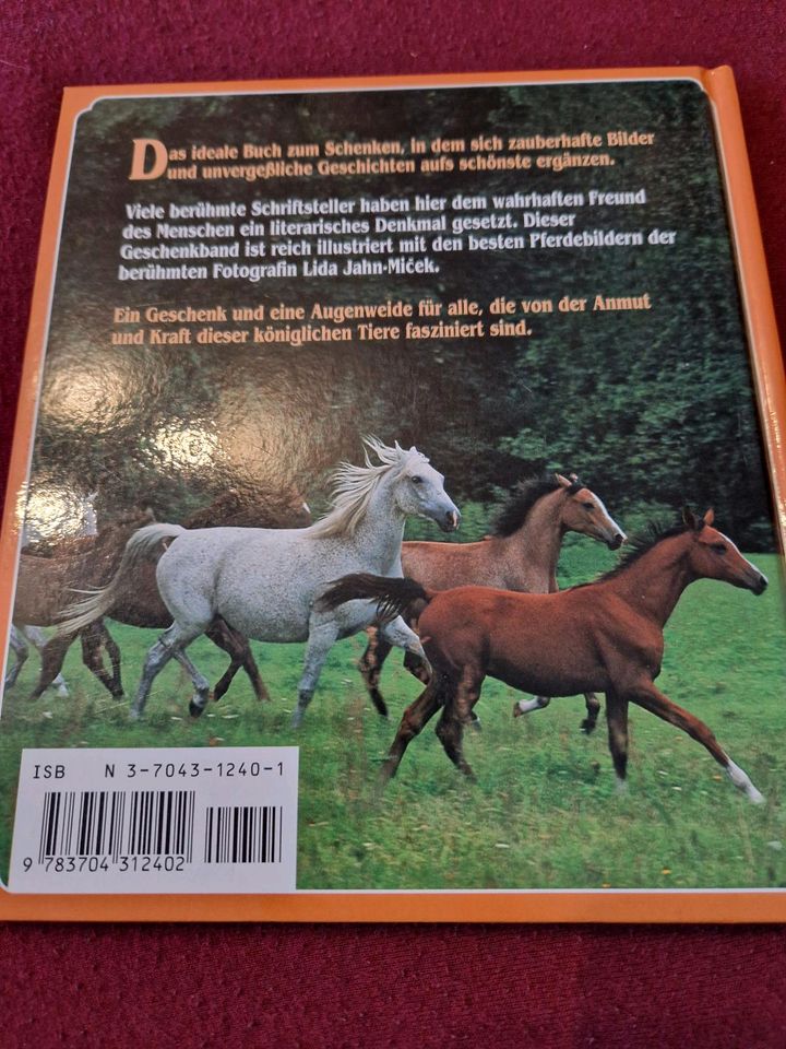 Pferde Bücher in Basedow