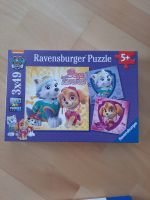 Ravensburger Puzzle 5+ Paw Patrol 3x49 Teile Hessen - Kassel Vorschau