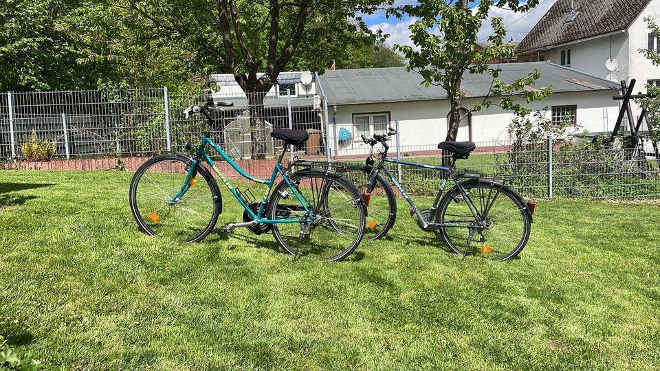 Herrenfahrrad, Wheeler, 21 Gänge, Shimano Schaltung, Inspektion, in Staudt