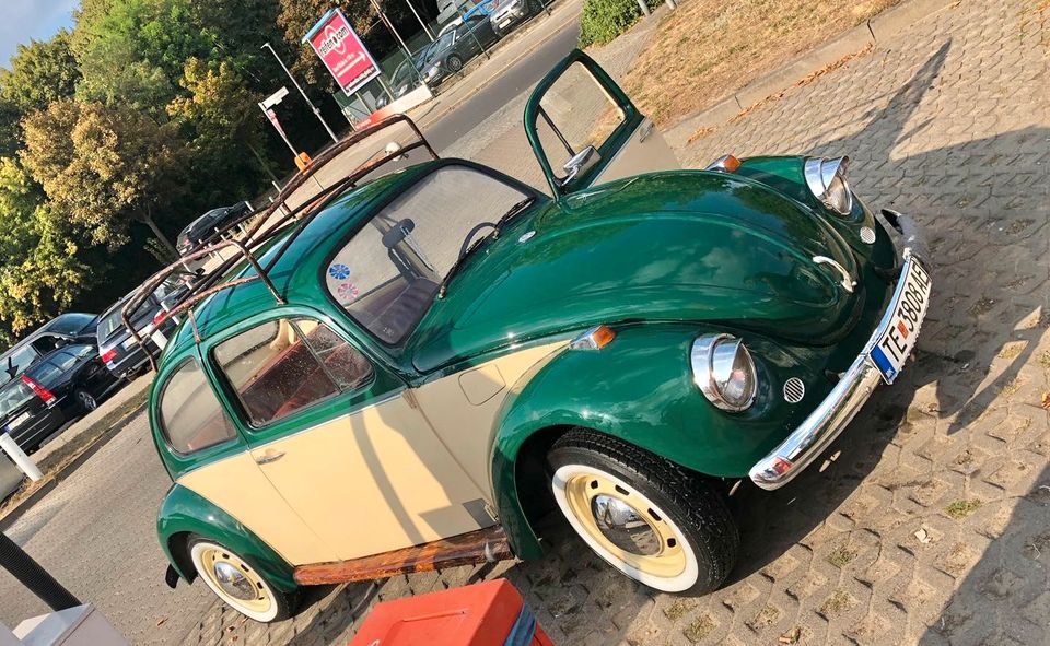 VW Käfer Volkswagen in Höchstädt a.d. Donau