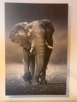 Afrika Bild Elefant Leinwand Baden-Württemberg - Zimmern ob Rottweil Vorschau