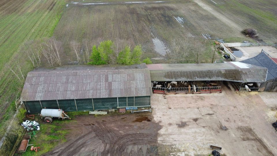 Modernes Landleben trifft Naturparadies: Wohn- und Wirtschaftsgebäude in Wagenfeld