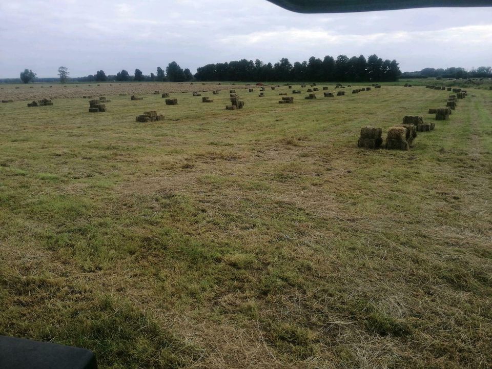 Stroh und Heu Bunde klein in Kalbe (Milde)