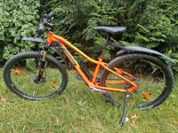 Stevens nema Bike Rad Mountainbike Fahrrad Niedersachsen - Bleckede Vorschau