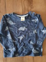 Alana Shirt Pullover Longsleeve Dinos 74 Nordrhein-Westfalen - Siegen Vorschau