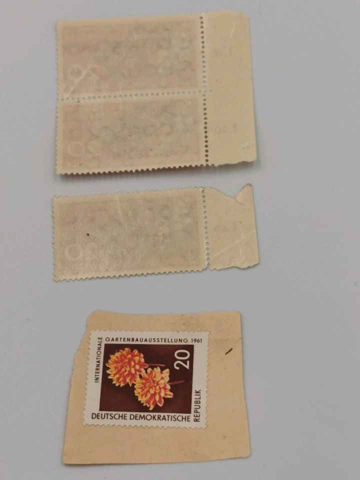 Briefmarken DDR ungestempelt, ungeklebt in Gera