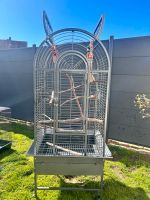 Vogelkäfig Haiti - Antik von Montana Cages Bayern - Elsenfeld Vorschau