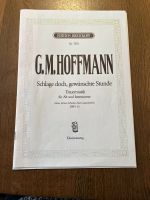 G.M.Hoffmann - Schlage doch, gewünschte Stunde Bayern - Augsburg Vorschau