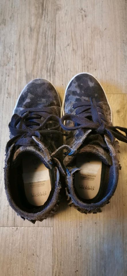 Geox Respira Sneaker, Schuhe, Gr. 36, neuwertig in Bad Hersfeld