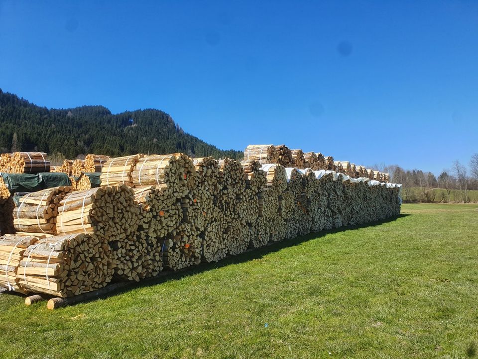 Brennholz, trocken, ofenfertig (50,33,25 cm), Lieferung möglich in Pfronten