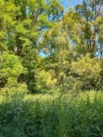 Grundstück Landwirtschaftsfläche Tauberbischofsheim Boxberg OT Baden-Württemberg - Boxberg Vorschau