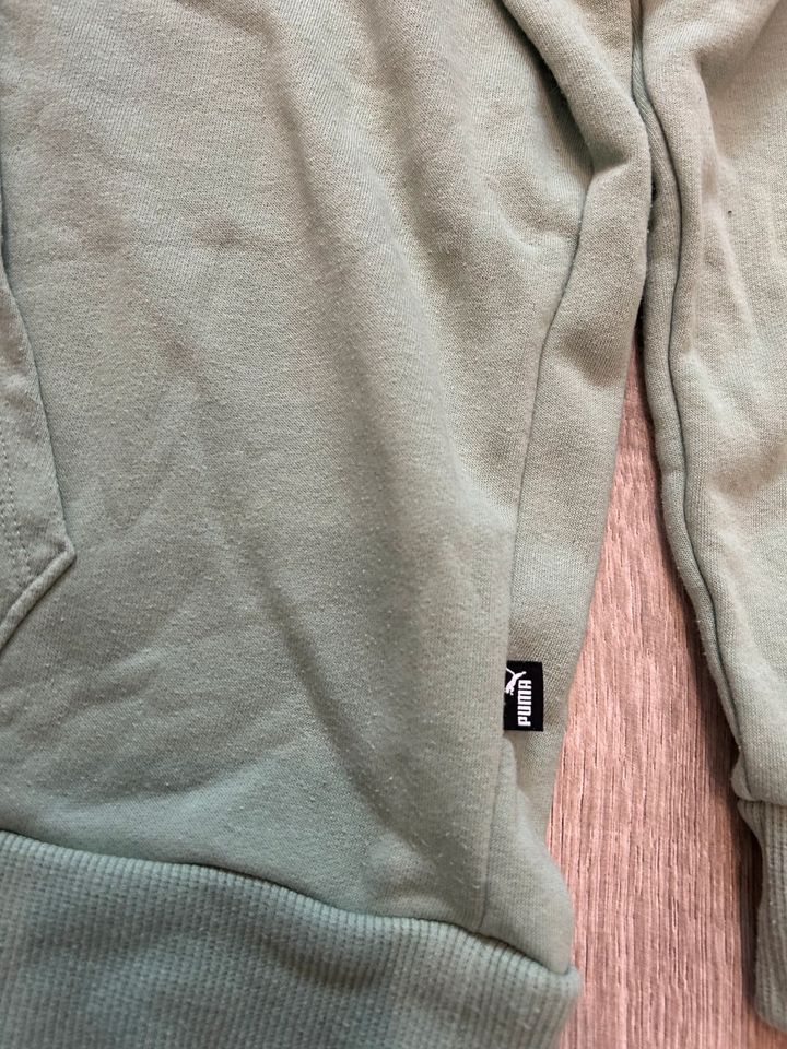 Puma Pullover Hoodie Herren XL Grün Sweatshirt Shirt in Lingen (Ems)