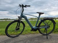 E Bike Pedelec Kettler Quadriga X10  Herrenrad Herrenfahrrad Nordrhein-Westfalen - Dormagen Vorschau