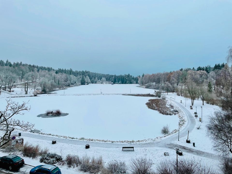 Ferienwohnung SEEBLICK direkt am Bocksberg in Hahnenklee - Harz in Burgdorf