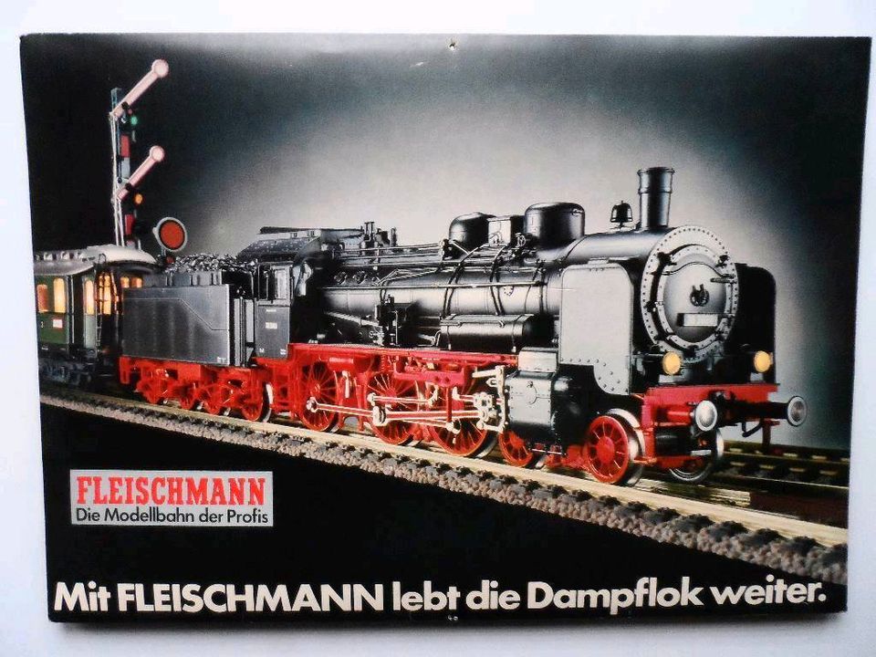 Fleischmann H0 N Eisenbahn Dampflok - Plakat Poster Aufsteller in Kirchheimbolanden