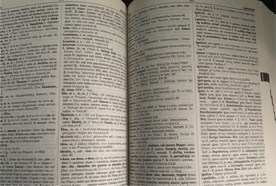 Strowasser Latein Deutsch Wörterbuch Sonderausgabe Hundertwasser in Mönchengladbach