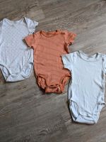 Bodies 3 Kurzarmbodies H&M Basic Gr. 74 Nordrhein-Westfalen - Olsberg Vorschau