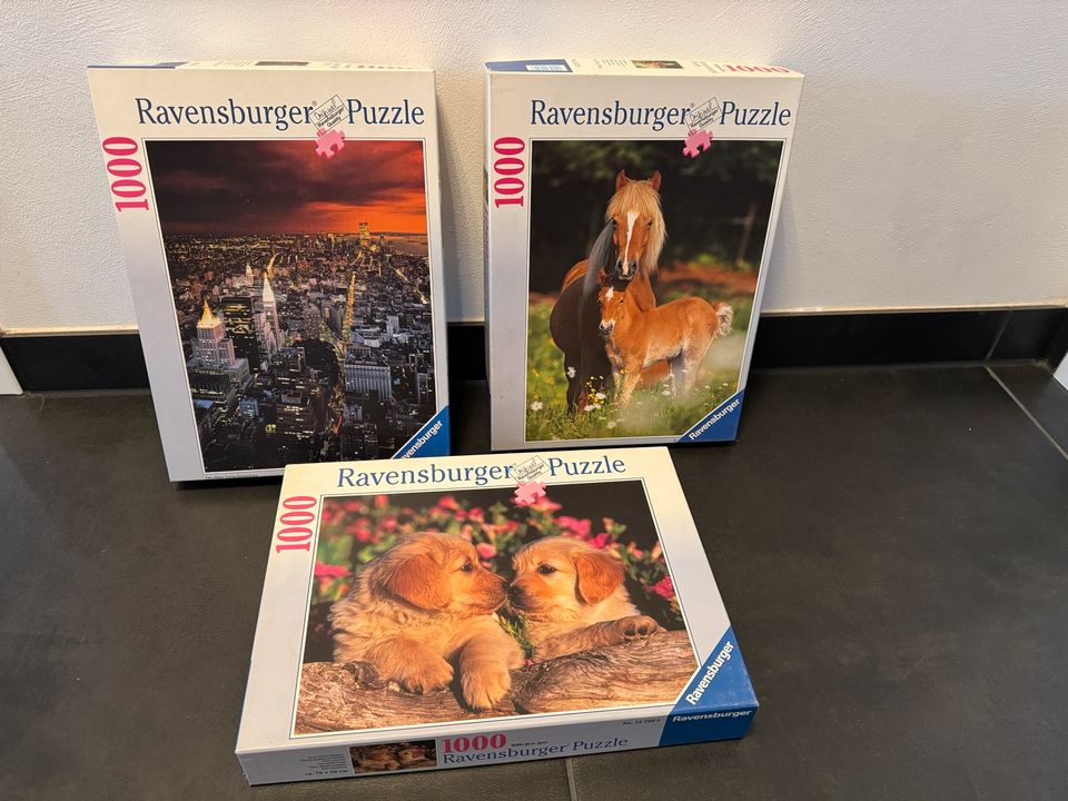 3* 1000 Ravensburger Puzzle Spiel Hund Pferd New York in Hirschaid