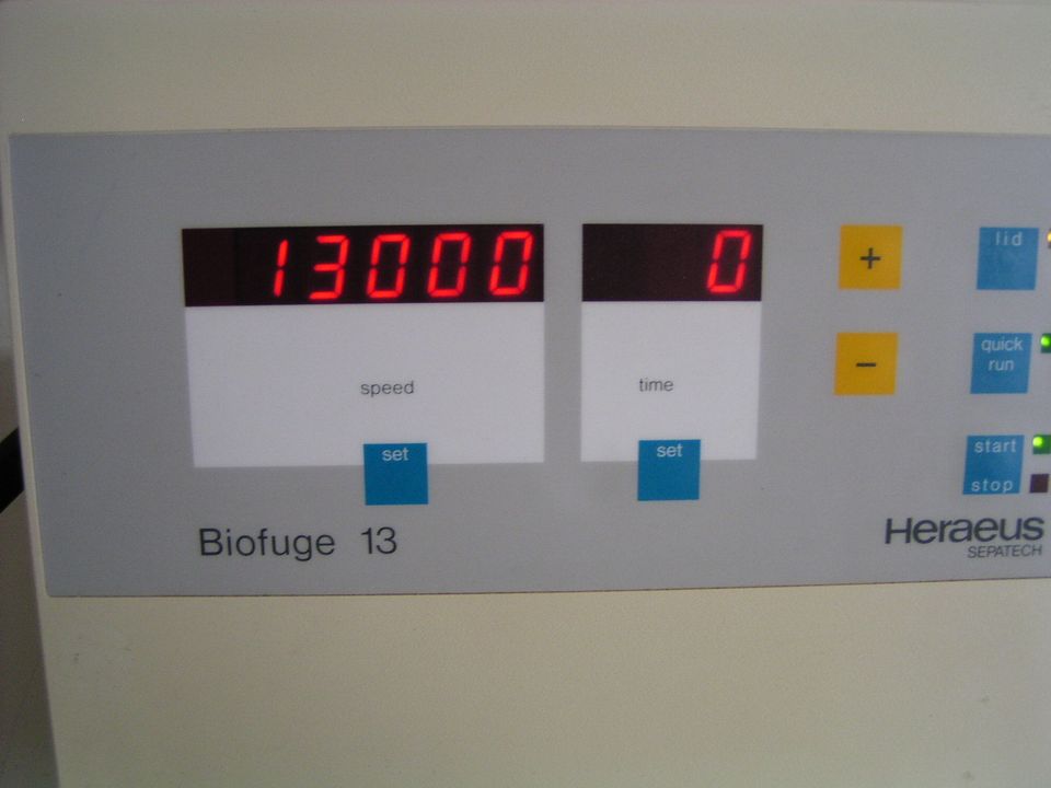 Heraeus Biofuge 13 Zentrifuge in Bad Belzig