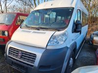 Fiat Ducato Klima CNG Rollstuhlgerecht Nordrhein-Westfalen - Moers Vorschau