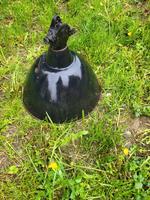 DDR Emaille Fabriklampe Lampe Retro Sachsen - Lichtenau Vorschau