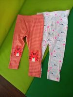 Leggings Sommer Tiger und Fische Sachsen - Weißwasser Vorschau