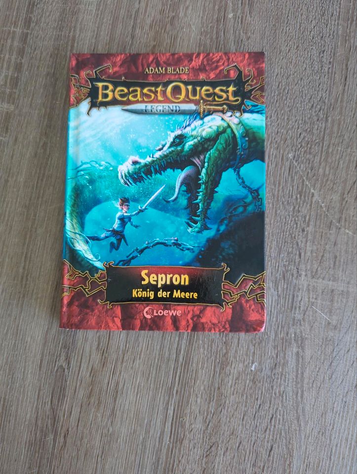 Verkaufe Beast Quest Band Beast Quest Band 4 & 8 zusammen 5€ in Barsinghausen