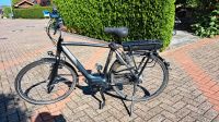 Gazelle Arroyo C8 Herren Ebike E-bike RH 57 cm Niedersachsen - Wardenburg Vorschau