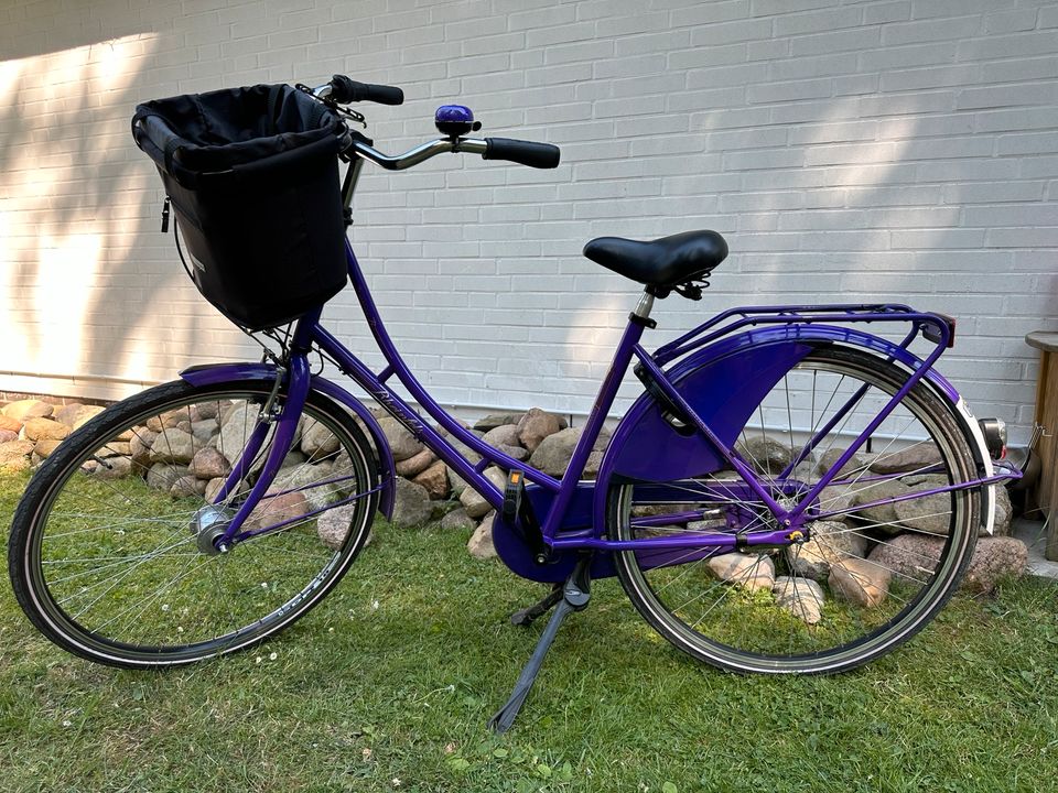 Retro Fahrrad von Rheinfels in lila in Handeloh