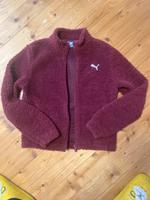 Puma Teddy Jacke Bordeaux Gr. XS ca. 164 170 Hessen - Dreieich Vorschau