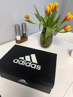 Adidas Predator Schleswig-Holstein - Neumünster Vorschau
