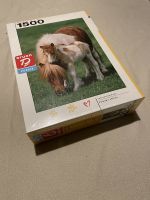 Puzzle, 1500 Teile, Motiv »Pony«, noch verschweißt in OVP Nordrhein-Westfalen - Meckenheim Vorschau