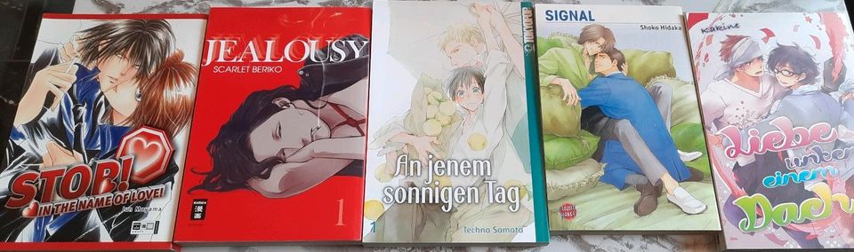 Verschiede boys love manga yaoi in Salzgitter