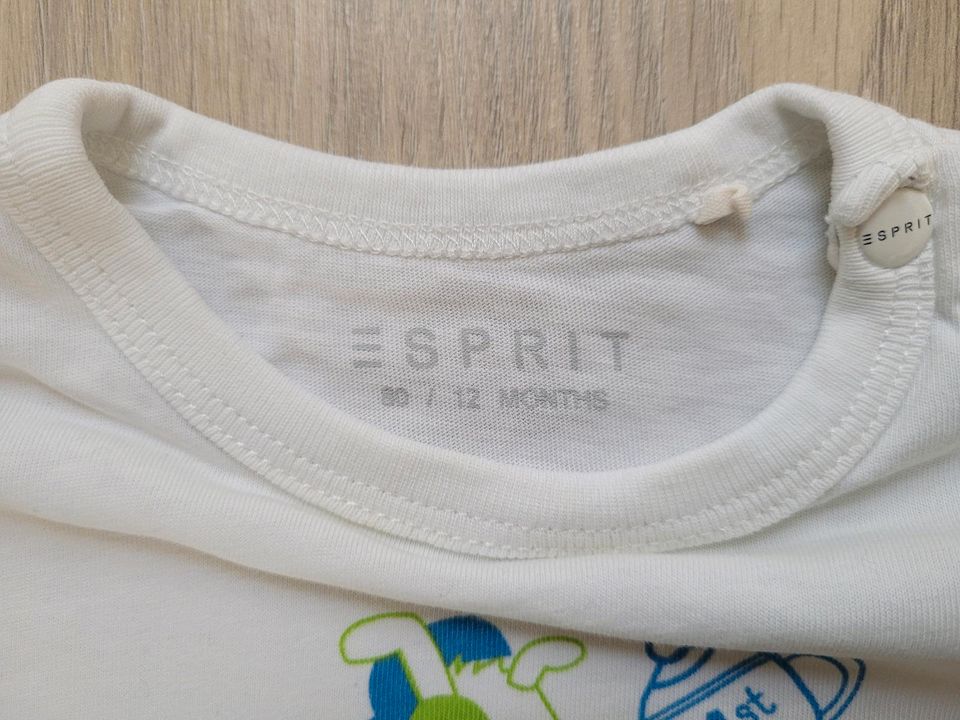 Esprit Oberteil Jeans Gr. 80 in Aislingen