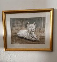 Hunde Portrait West Highland Terrier. Schleswig-Holstein - Wittenborn Vorschau