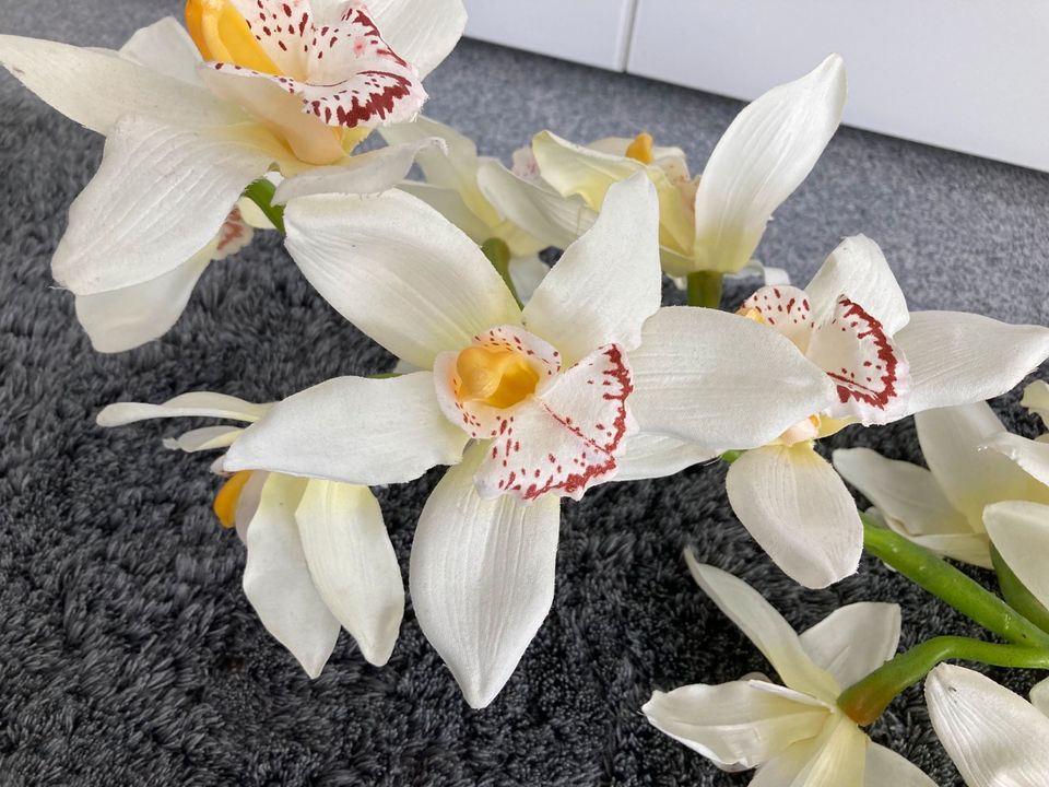 Orchideen Zweig Kunstpflanze naturnah in Wiesloch