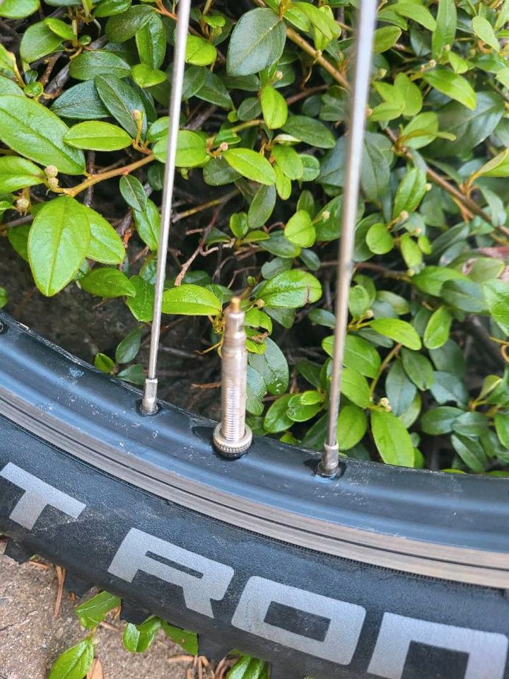 Pyro 20 Small -tubeless- no islabike, kubike, vpace in Süsel