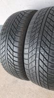 2x GoodYear 205/55 R16 94V 6,5mm Allwetterreifen TOP!!! Nordrhein-Westfalen - Hagen Vorschau