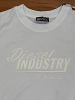 DIESEL Shirt Neu mit Etikett Gr.M weiß Herzogtum Lauenburg - Geesthacht Vorschau