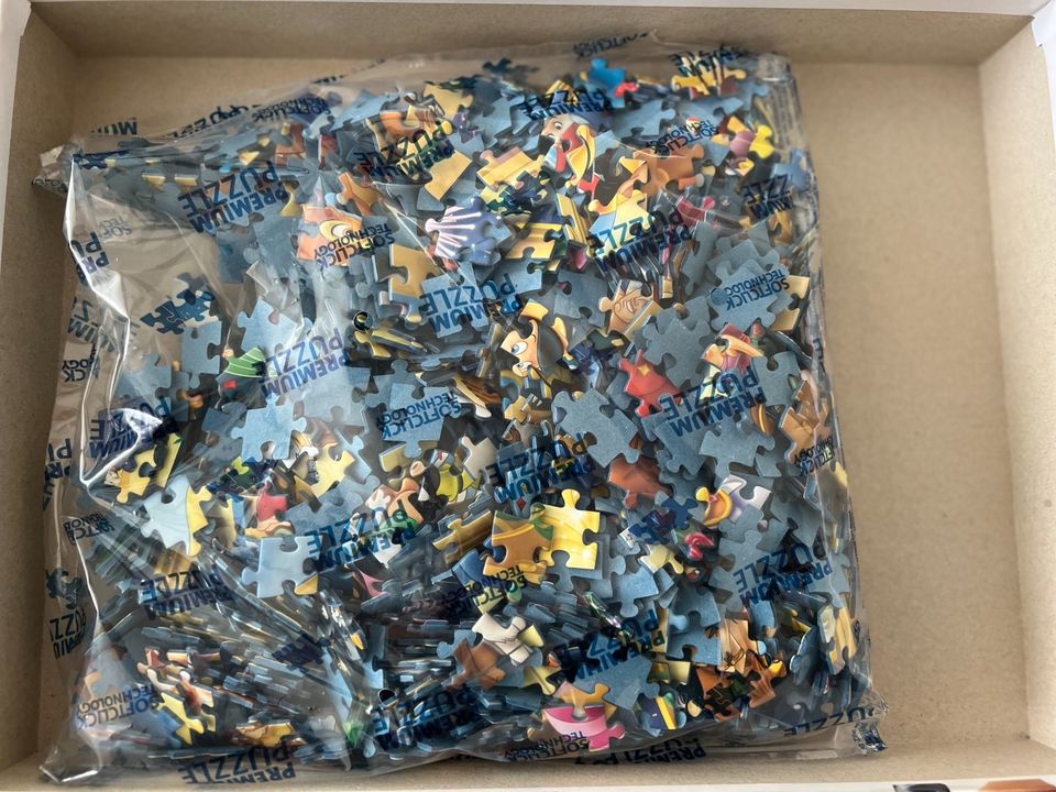 1000 Teile Puzzle Disney Panorama in Blieskastel