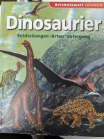Dinosaurier Buch Sachsen - Freiberg Vorschau