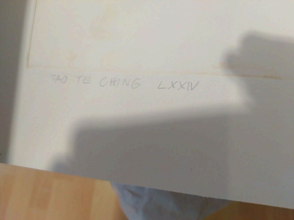 Radierung katze Tao Te Ching Lxxiv signiert Jacek Sowicki p/p in Lindhorst