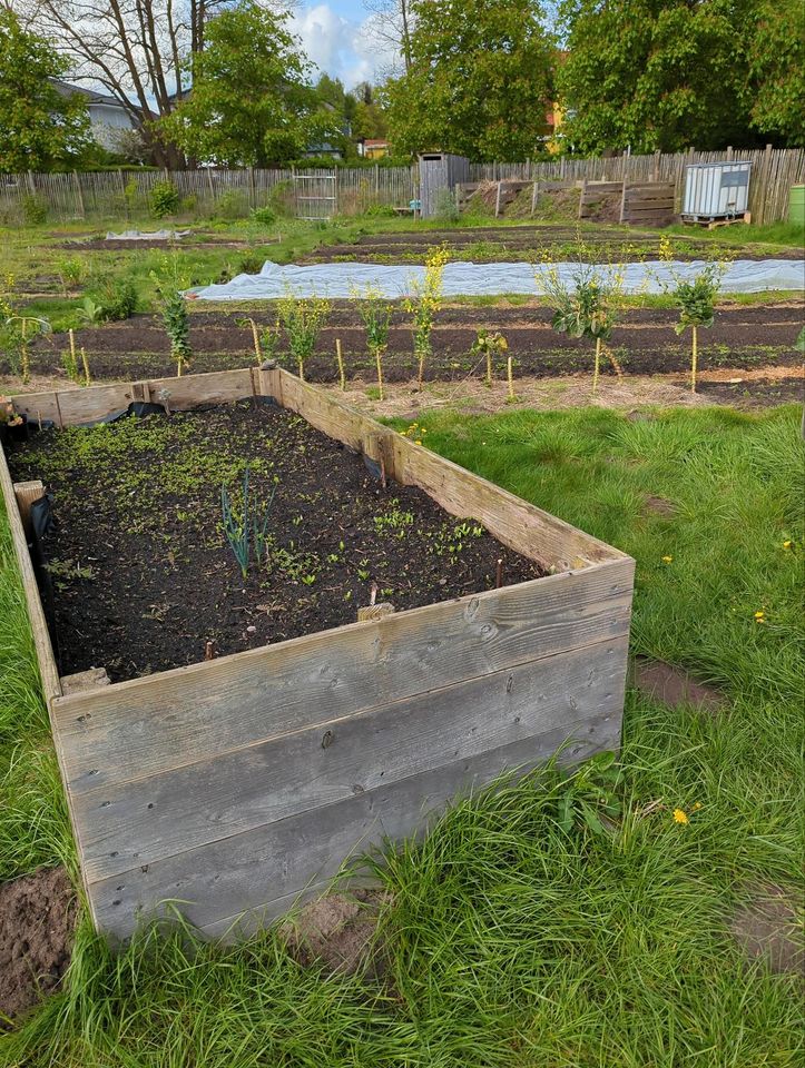 Gemeinschaftsgarten Elli in Huchting sucht neue Mitglieder! in Bremen