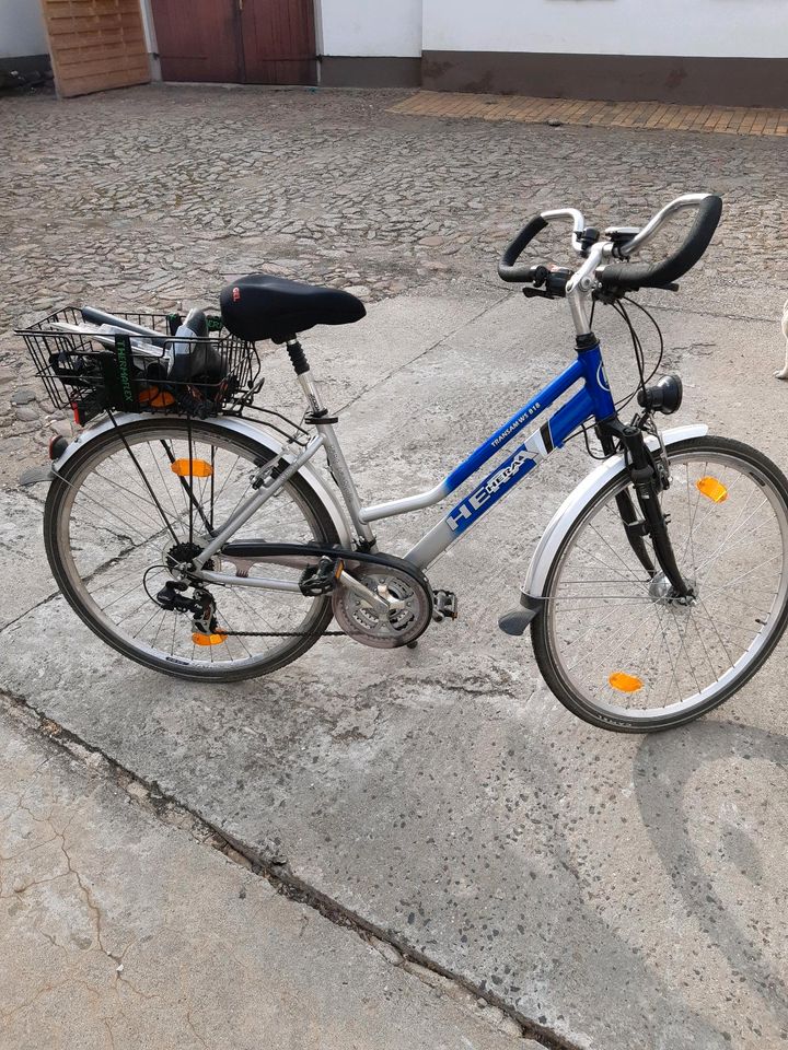 Damenfahrrad in Delitzsch