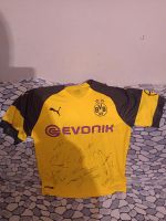 Trikot mit autogramm 2019 Borussia Dortmund Nordrhein-Westfalen - Vlotho Vorschau