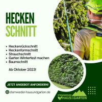 TERMIN HOLEN: Heckenformschnitt, Heckenschnitt vom Profi! Niedersachsen - Osnabrück Vorschau