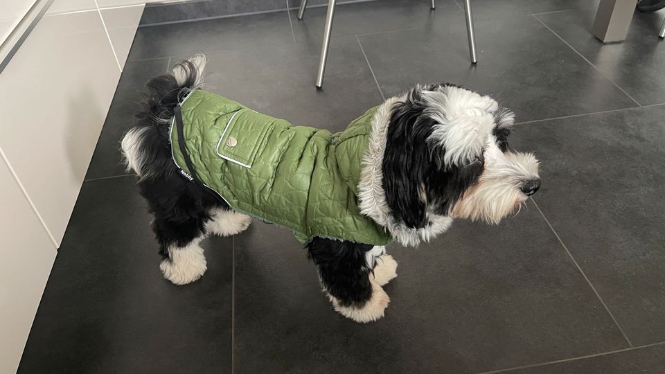 Winterjacke für Hunde in Kemnitz